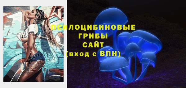 а пвп мука Алзамай