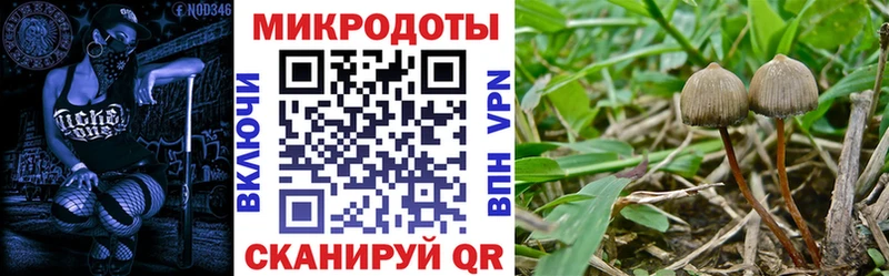 MEGA зеркало  Мичуринск  Псилоцибиновые грибы Magic Shrooms  наркошоп 